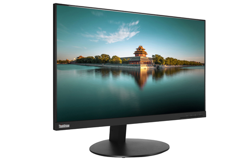 LENOVO THINKVISION T24I-10