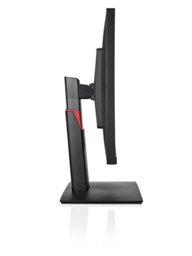 FUJITSU P24-8 WS PRO