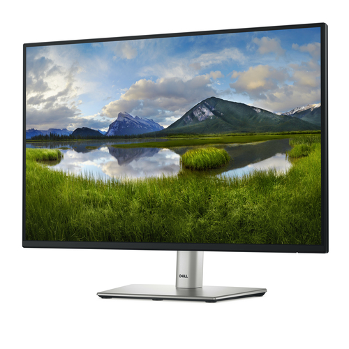 DELL P2425E