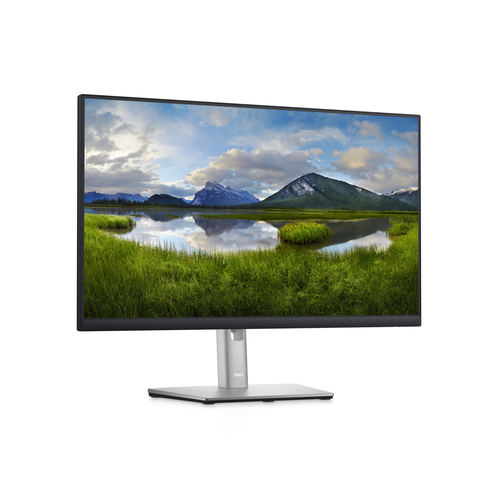 DELL P2422HE