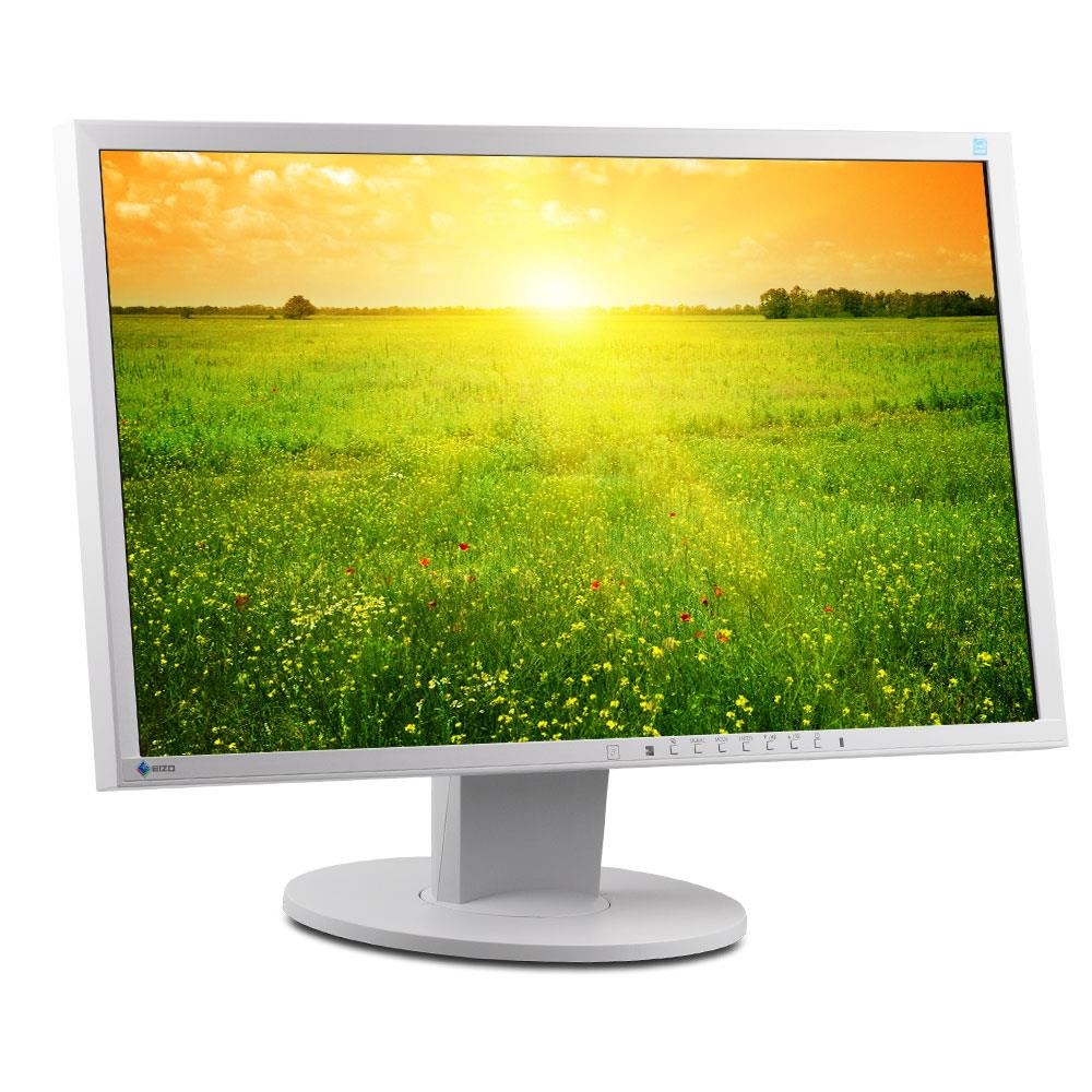 EIZO FLEXSCAN EV2336W