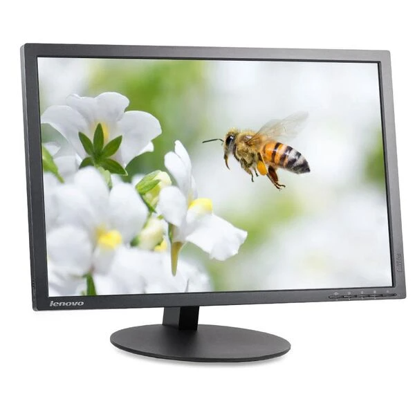 LENOVO THINKVISION T2454PA