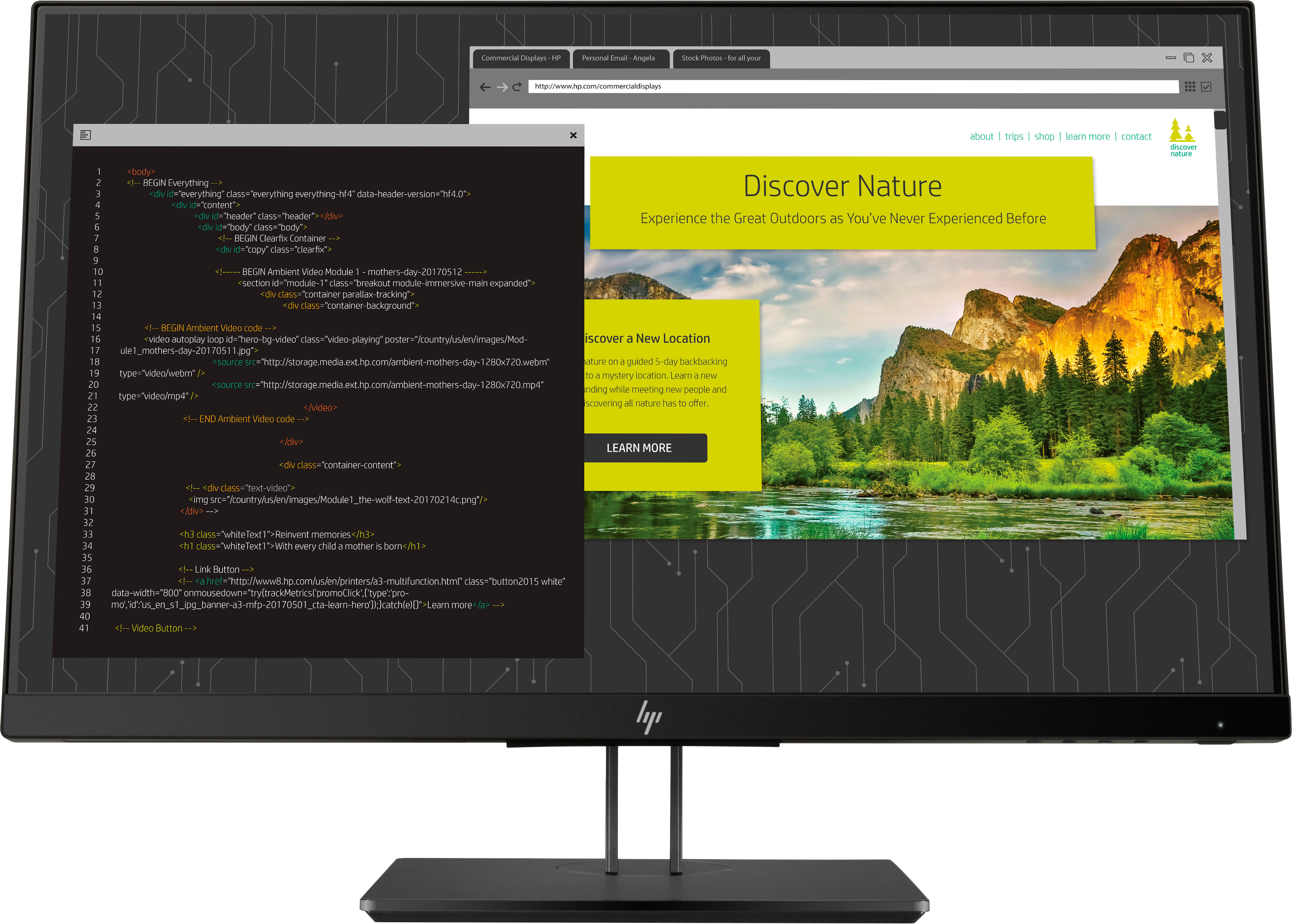 HP Z DISPLAY Z24NF G2