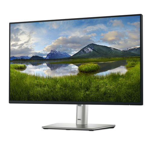 DELL P2425H