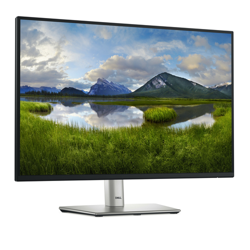 DELL P2425E