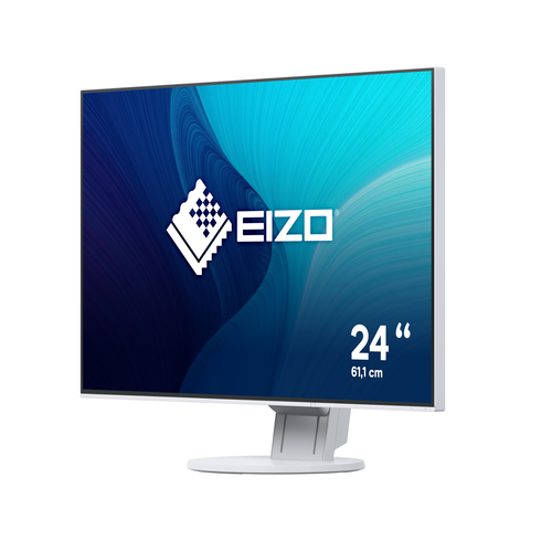 EIZO FLEXSCAN EV2455-GY