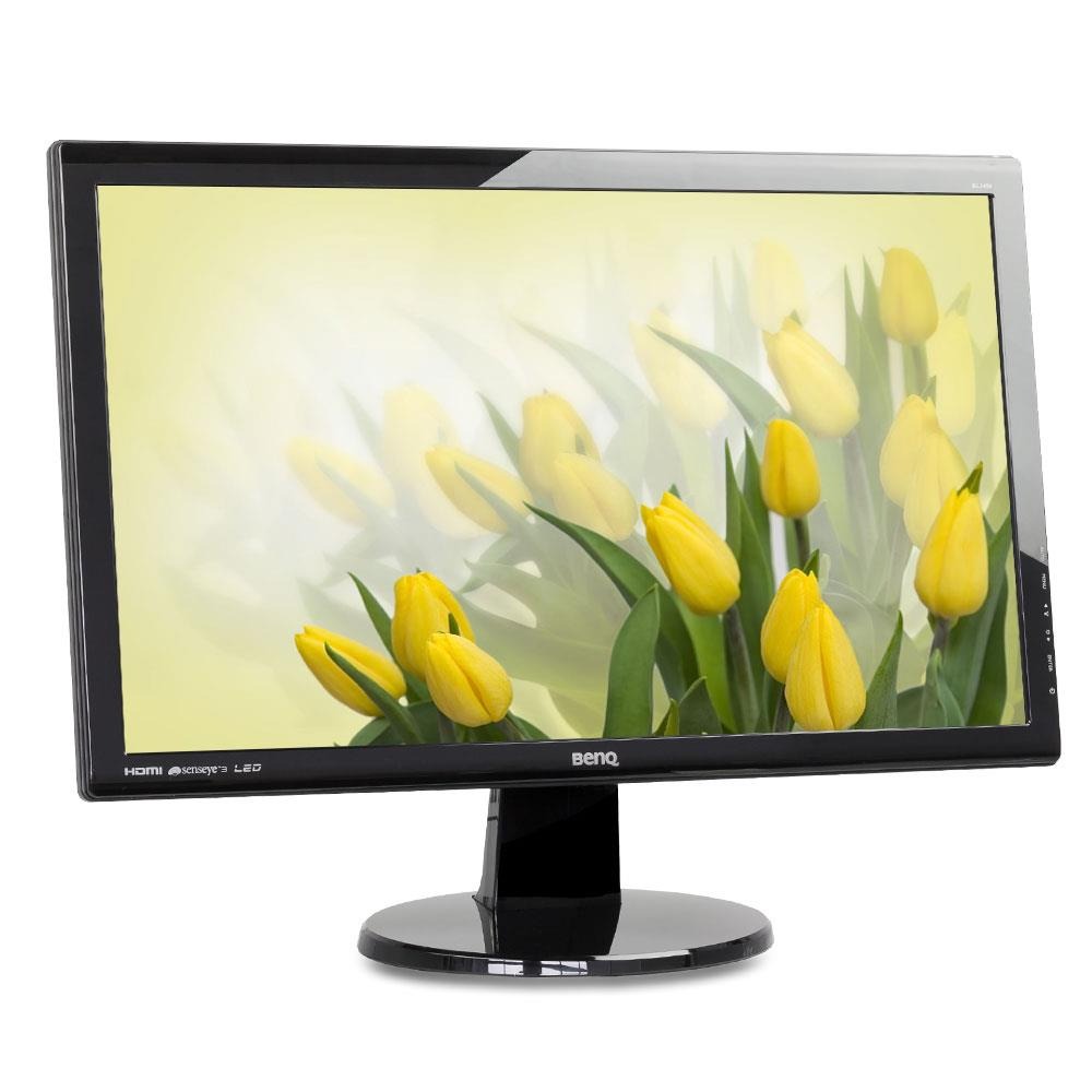 BENQ GL2450