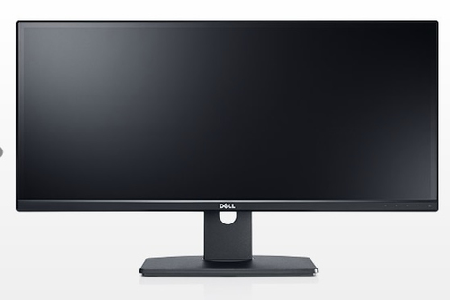 DELL ULTRASHARP U2913WM