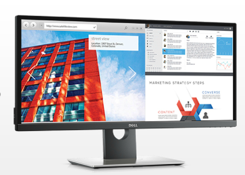 DELL ULTRASHARP U2917W